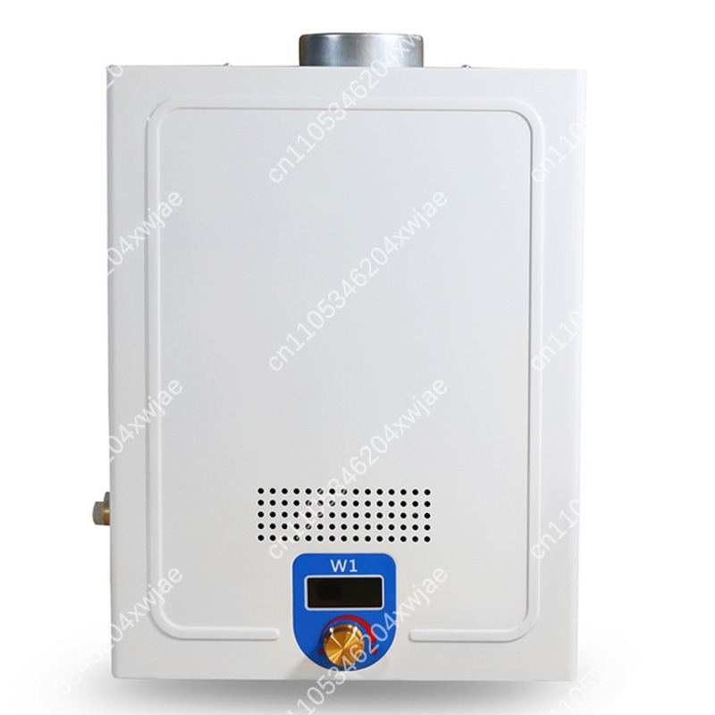 Instant Hot Shower Heater Dies - Outdoor Camping Hot Water Heater avaliação e preço